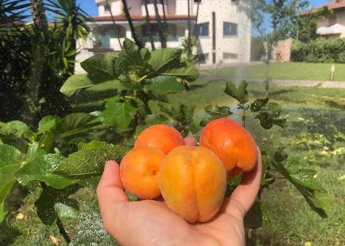 住宿加早餐酒店 Chiara's 3*