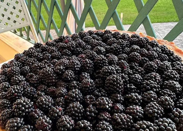 Chiara's 住宿加早餐酒店 3*